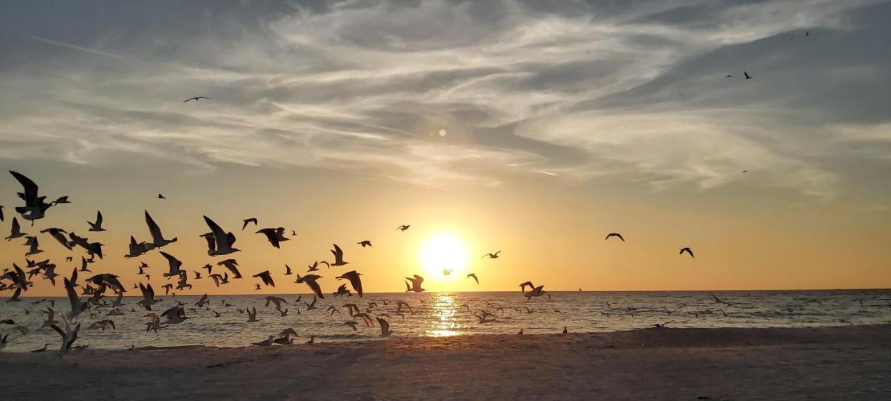 Sunset Vistas 603W Villa St. Pete Beach Eksteriør bilde